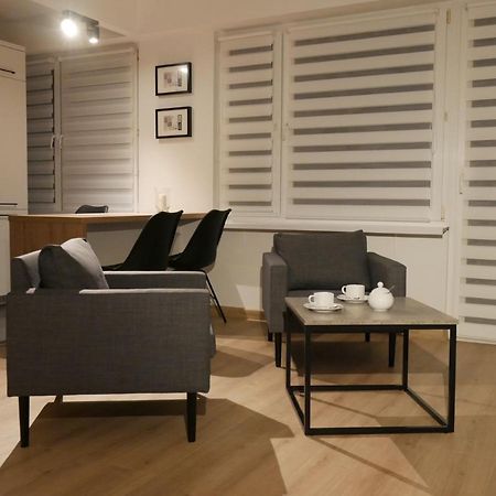 Auschwitz New Flat For Rent Air Conditioning In The Apartament Oswiecim Nowe Mieszkanie - Centrum Klimatyzacja W Mieszkaniu公寓 外观 照片