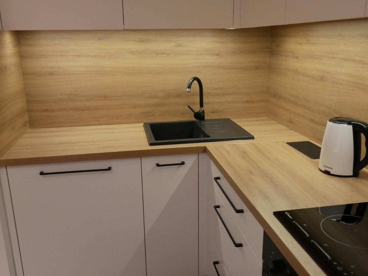 Auschwitz New Flat For Rent Air Conditioning In The Apartament Oswiecim Nowe Mieszkanie - Centrum Klimatyzacja W Mieszkaniu公寓 外观 照片