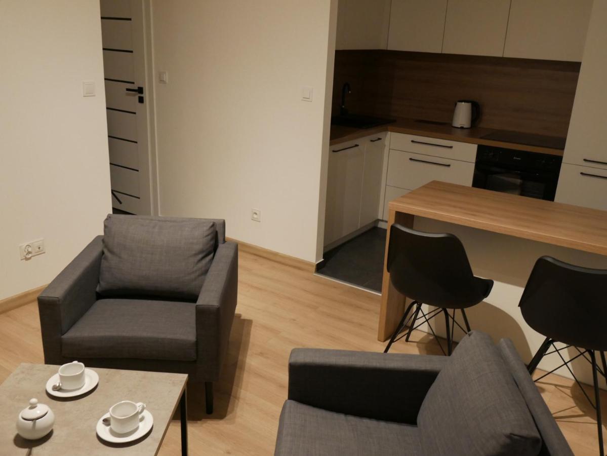 Auschwitz New Flat For Rent Air Conditioning In The Apartament Oswiecim Nowe Mieszkanie - Centrum Klimatyzacja W Mieszkaniu公寓 外观 照片