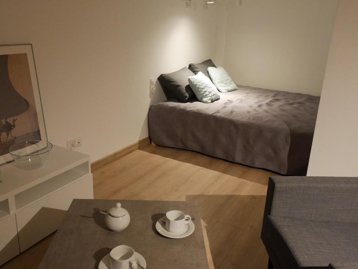 Auschwitz New Flat For Rent Air Conditioning In The Apartament Oswiecim Nowe Mieszkanie - Centrum Klimatyzacja W Mieszkaniu公寓 外观 照片